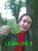 legalise marihuana fail.jpg