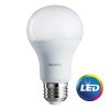 philips-led-light-bulbs-461961-64_1000.jpg