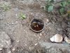 IMG_20171210_145426.jpg