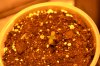 DSC_0360-compressed.jpg