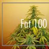 fat100