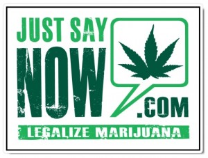 Just-Say-Now-300x227