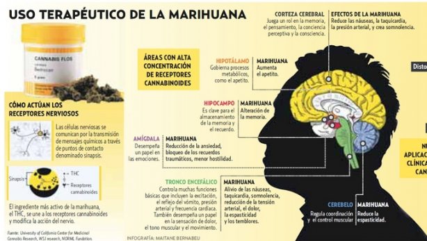 15 semanas del embarazo el dolor en la espalda