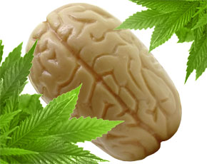 Alzheimer's disease