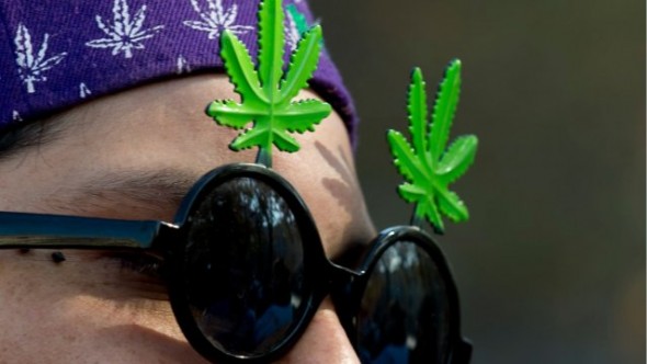 639x360_1336251130_marihuana-590x332