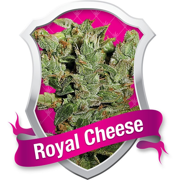 royal-cheese