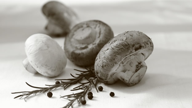 Champiñones champinones
