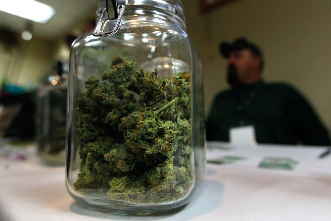 cannabis marijuana colorado