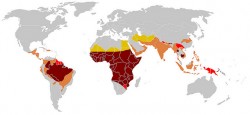 3.Areas_of_the_world-250x115