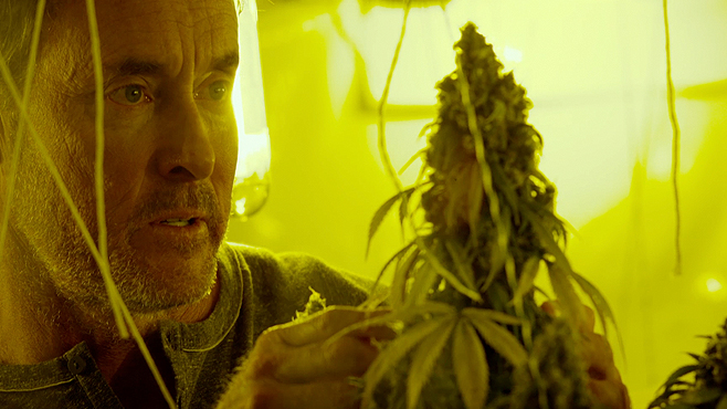 Kid-Cannabis-John-C-McGinley