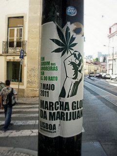 There-is-an-small-ongoing-campaign-to-liberalise-Portugals-restrictive-cultivation-laws-Marionzetta