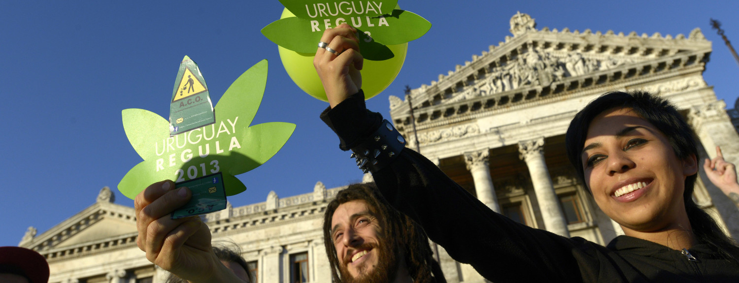 Uruguay Marijuana
