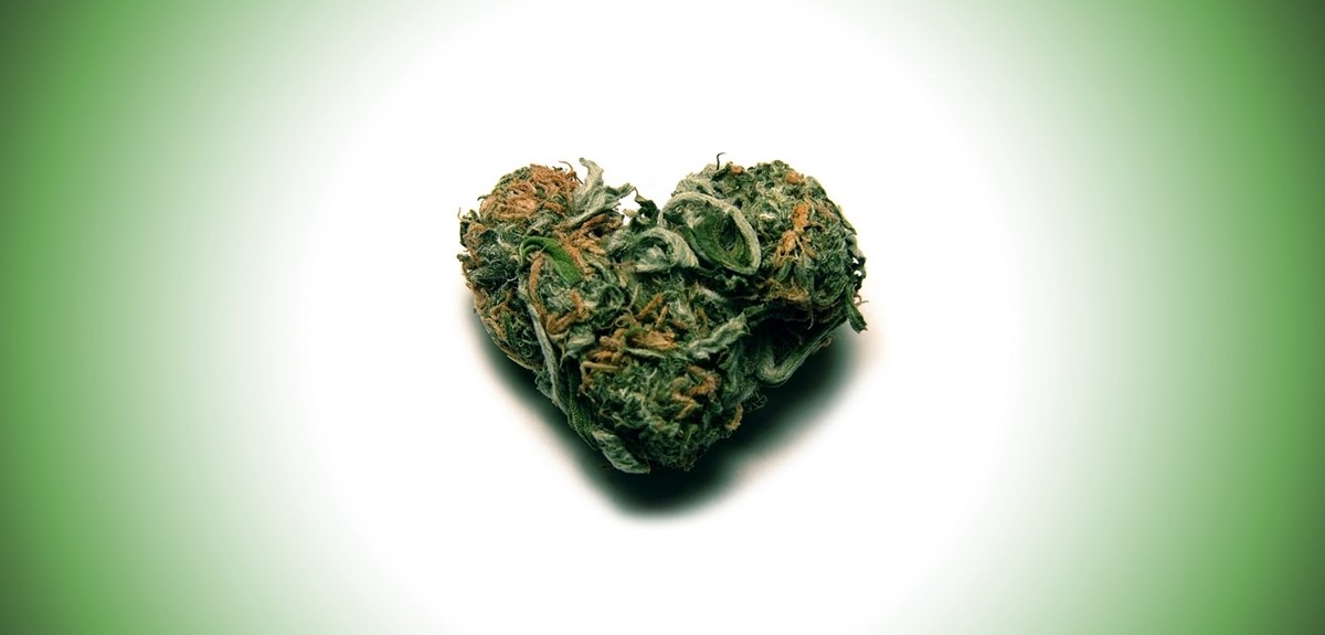 Cannabis-Causes-Cardiovascular-Apocalypse...-Maybe.-Weedist
