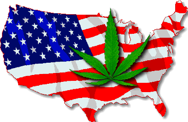 cannaamerica
