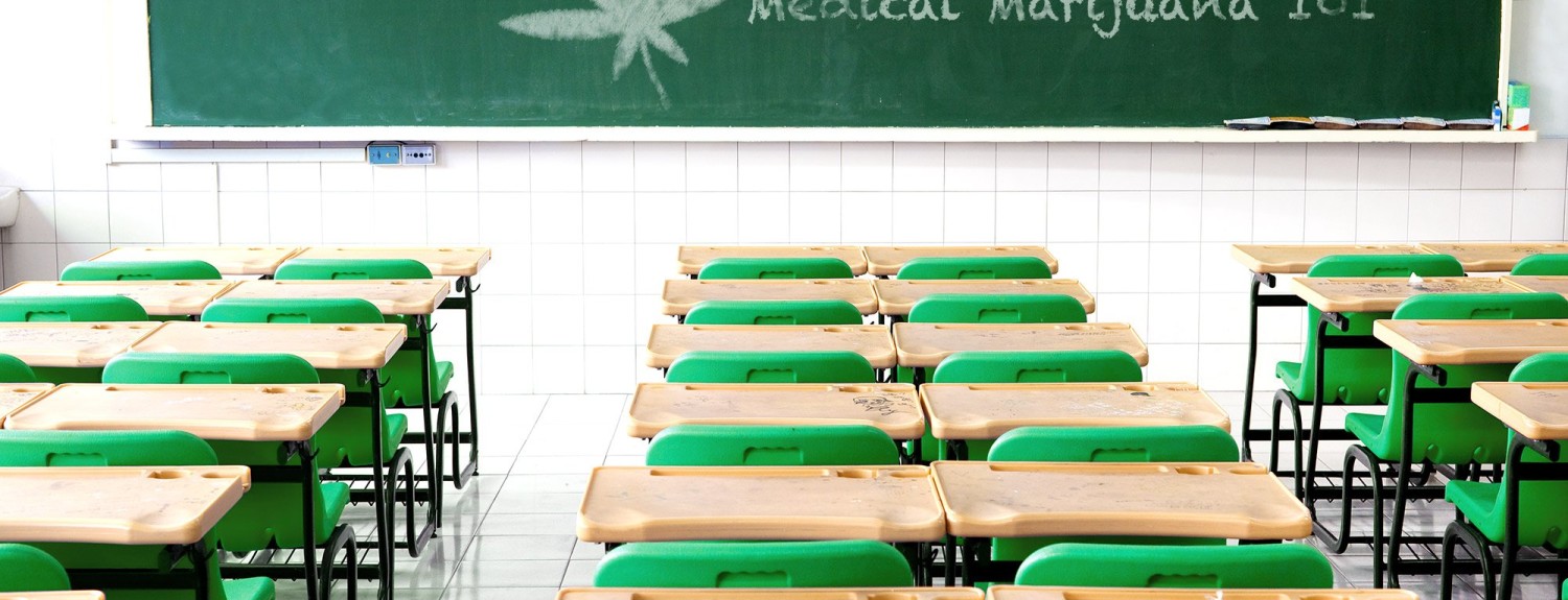 Want to study pot? There's a school for that