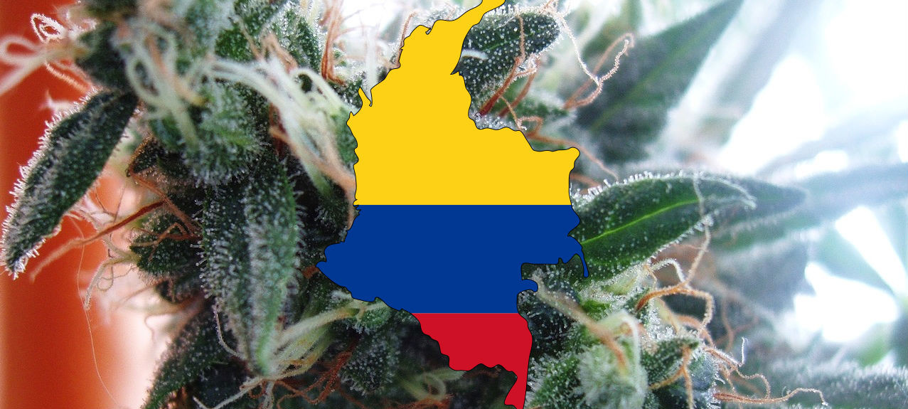 weed-drug-addiction-colombia-bogota