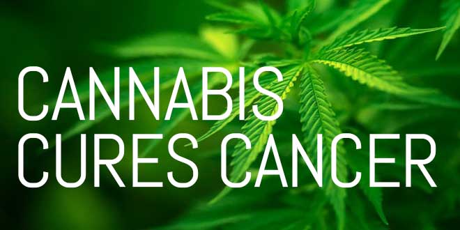 CannabisCuresCancer