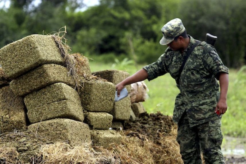 Drogas_Incineracion_Sinaloa-1