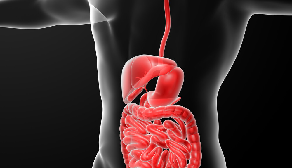 extracto de cannabis para la colitis ulcerosa