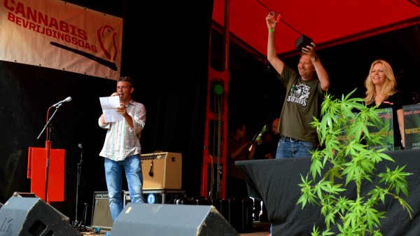 SuperSkunkAutomatic_wins_Highlife_Cup_2014_BestAutoflowering-600x337