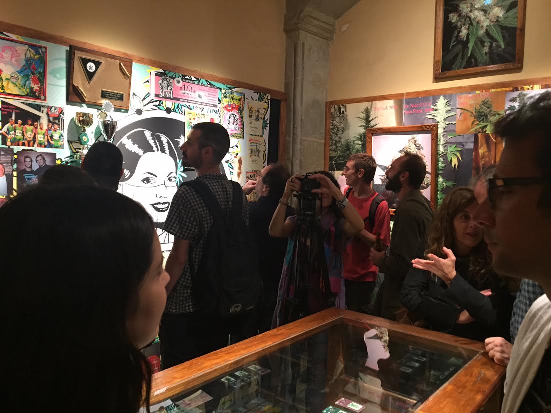 marihuana exposición