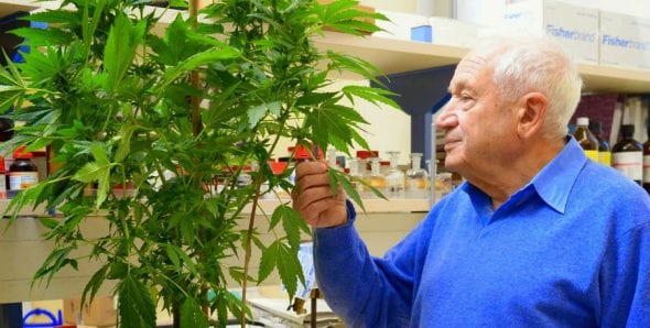 mechoulam