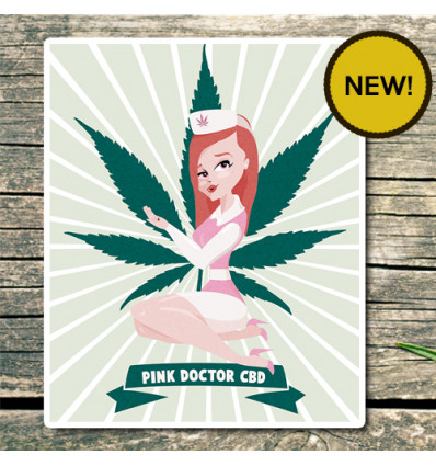 pink-doctor-cbd.jpg