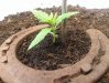 20140427_160223.jpg