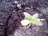 IMG-20140502-WA0017.jpg