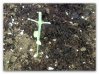 APC - 2014.05.03 18.48 - 001.3d.jpg