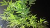 20140817_094023.jpg