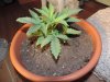 DSCN5159.JPG