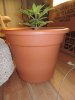 DSCN5177.JPG