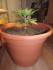 DSCN5137.JPG