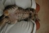DSC_0642.JPG