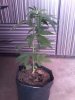 20140930_111354.jpg