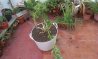 IMG-20141001-WA001.jpg