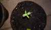 20150303_220611.jpg