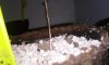 20150303_221453.jpg