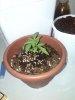 IMG_20150402_222317.jpg