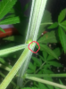 2015-06-12 11.26.15.png