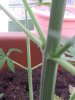 20150627_164813.jpg