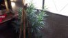 20160130_073615.jpg