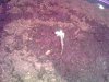 20160319_095857.jpg