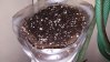 20160507_211530.jpg