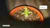 20160507_211333.jpg