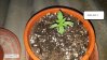 20160507_211416.jpg
