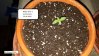 20160507_211428.jpg
