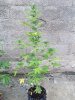 IMG-20161001-WA0026.jpg
