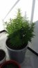 20170531_085905.jpg